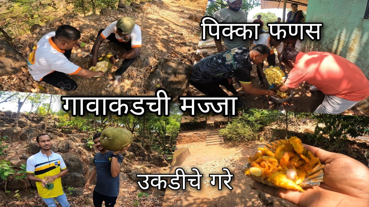 उकडीचे गरे, सिझनचा पहिला पिक्का आंबा फणस | भावांसोबत गावची मज्जा | Kokankar Avinash (Konkan)