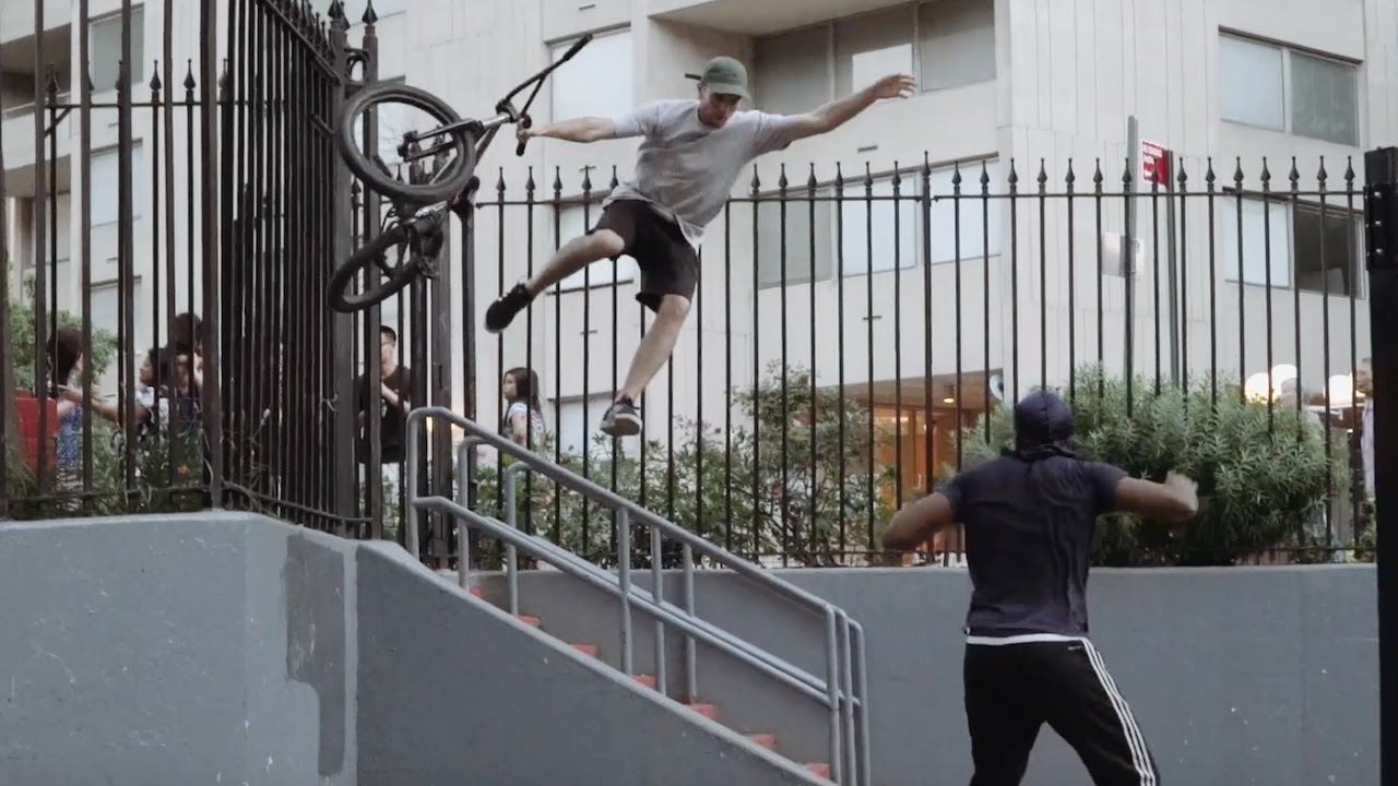 BMX - ANIMAL 