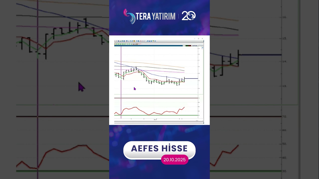 AEFES Hisse Teknik Analiz ve Yorumu - Anadolu Efes Hisse 