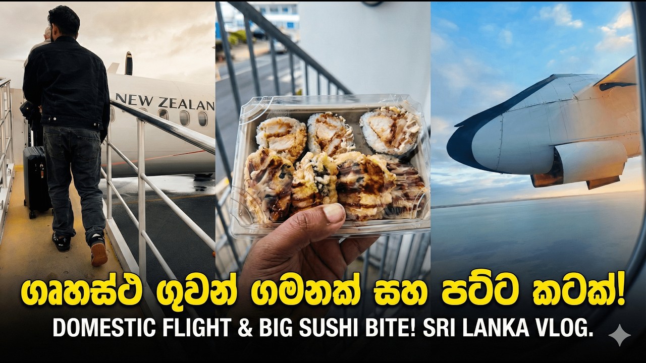 New Zealand වල ඇතුලේ Plane එකක යන්නේ මෙහෙමයි! ✈️ (පට්ටම Sushi එකක් කෑවා 🍱)