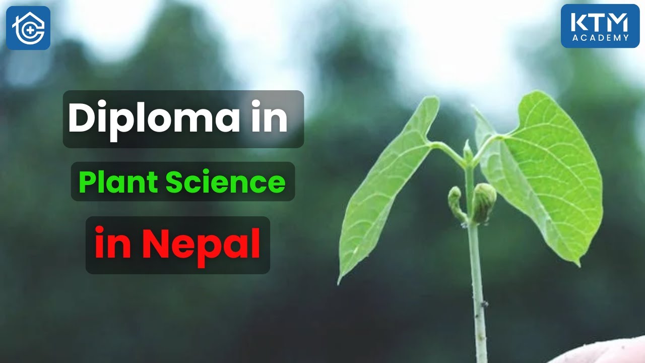 All Details about  Diploma in Agriculture / Diploma in Plant Science in Nepal