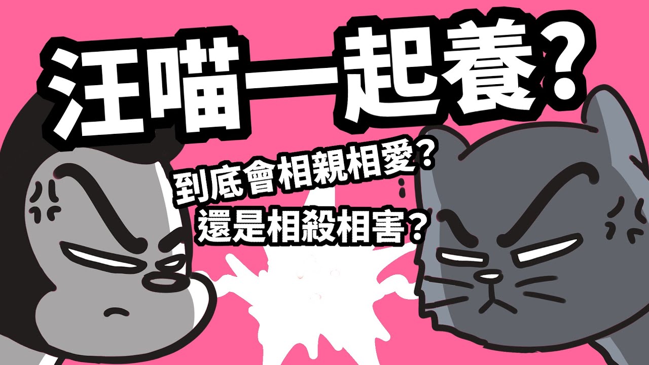 狗與鹿｜汪星人 vs 喵星人｜貓狗一起養到底會相親相愛？還是相殺相害？