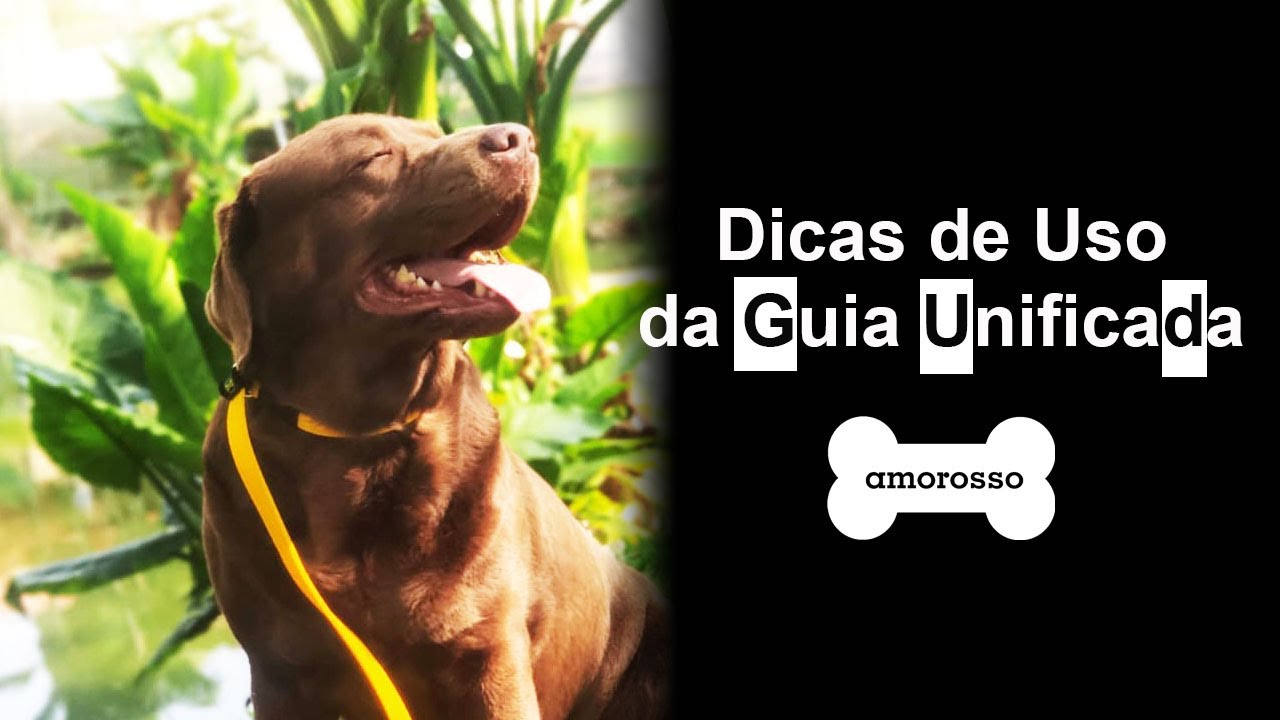 Dicas de como usar a Guia Unificada Amorosso