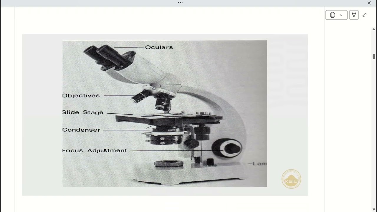 Histology Lecture 1, Pharmacy, KSIU