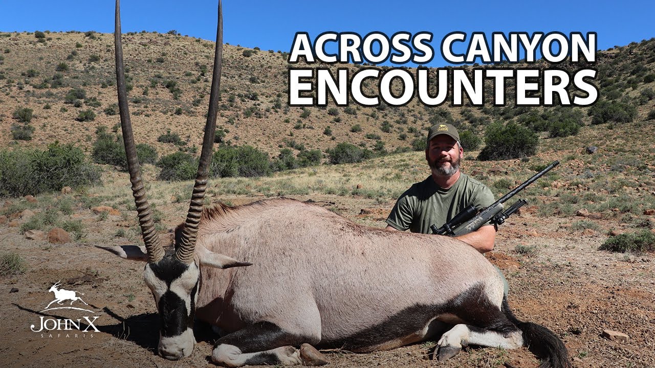 Across Canyon Encounters | John X Safaris
