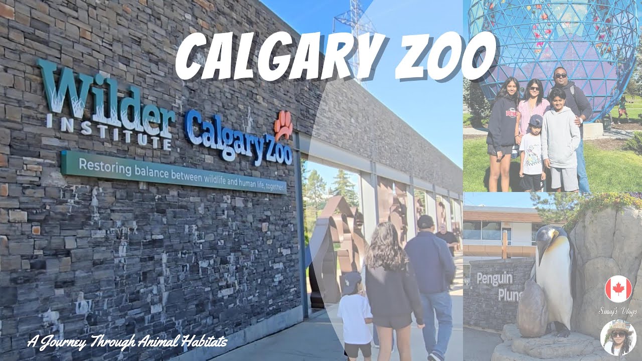 Calgary Zoo Walking Tour 2025 #calgaryzoo