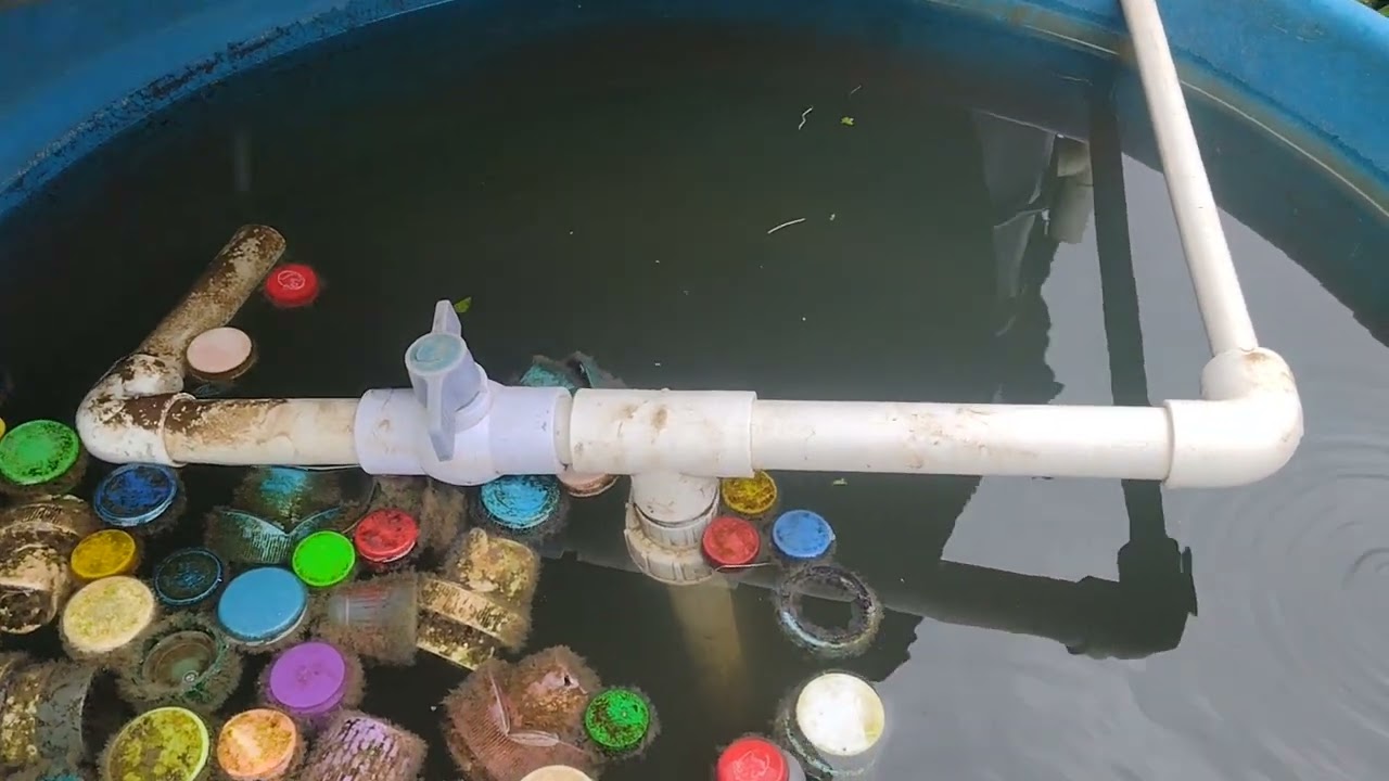 sanidad de trucha en sistema acuaponico Popayán cauca Colombia Wwssap+573113538762