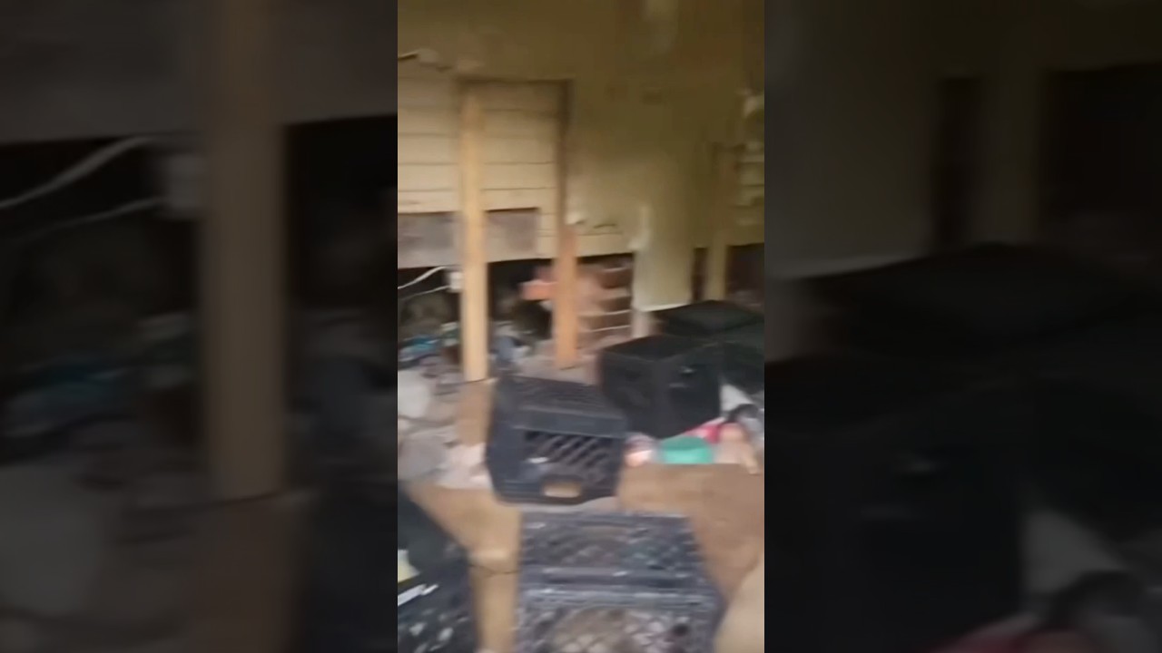 Видео изнутри дома семьи Сайдерс в Хамдене, штат Огайо #truecrimeheadlines