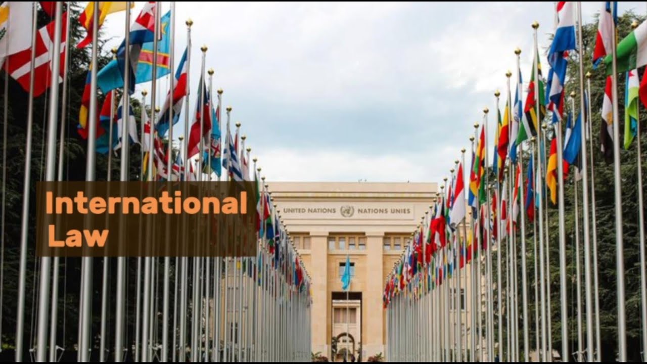 Understanding International Law: Basics, Principles, and Applications