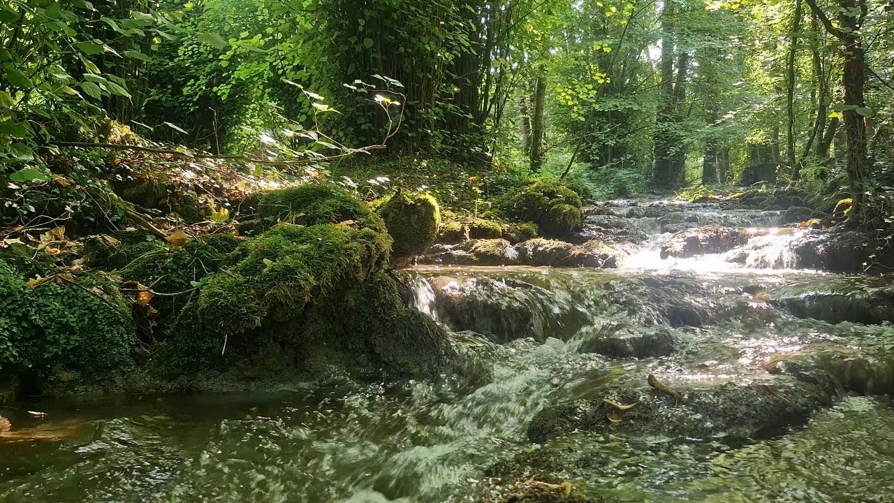 Forest Stream Sounds for Sleep, Relaxation & Meditation | Pure Nature Water (No Music)
