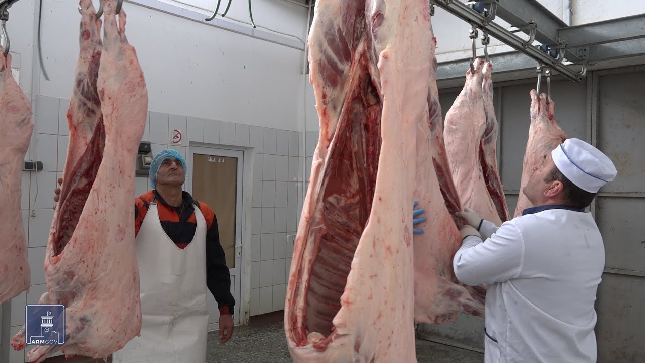 Պետությունն աջակցում է պանդանոց կառուցողներին