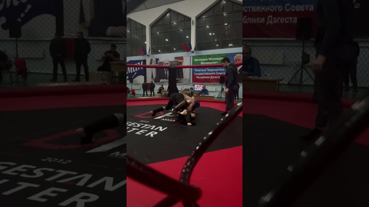 Республиканский турнир по мма с.Леваши