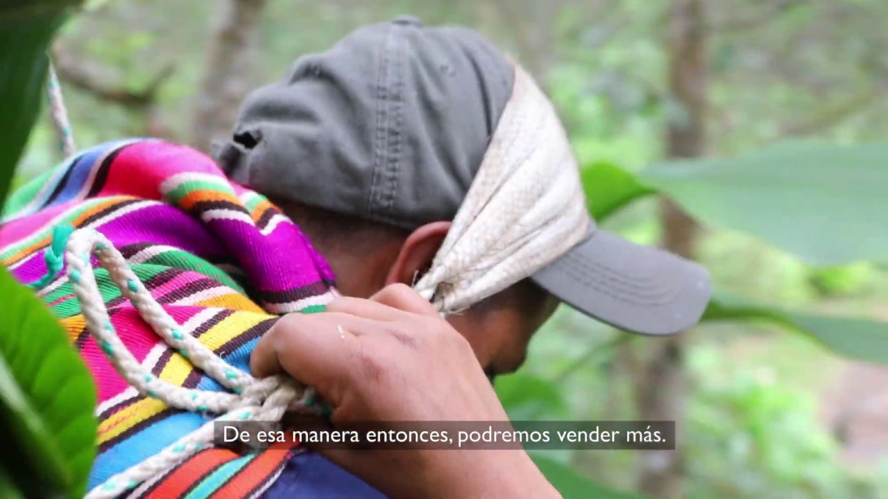 Viviendo del Max&aacute;n, Santa Catarina Ixtahuac&aacute;n, Solol&aacute;
