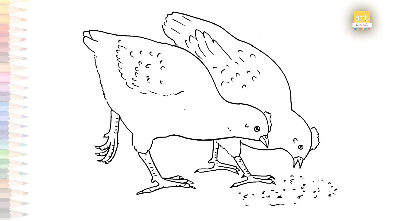 Hens eating food drawing easy | Outline drawings | How to draw A Hen step by step | #artjanag