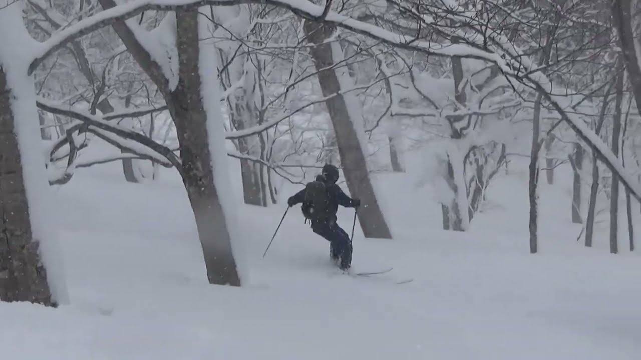 YAMAGATA BC TOUR 2026 SKIER: Taicho