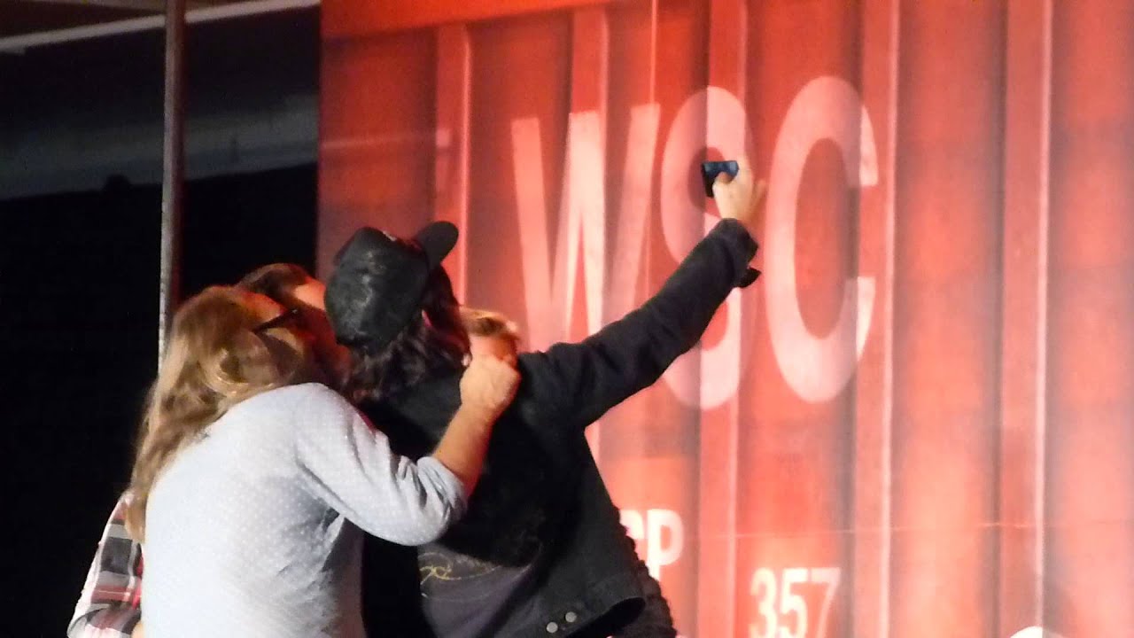 Walker Stalker Atlanta 2014 Bromance Panel with Andy Lincoln and Norman Reedus