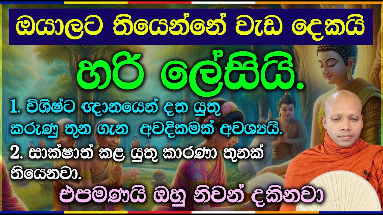 ඔයාලට තියෙන්නේ වැඩ දෙකයි හරි ලේසියි.2860Ven Hasalaka Seelawimala Thero