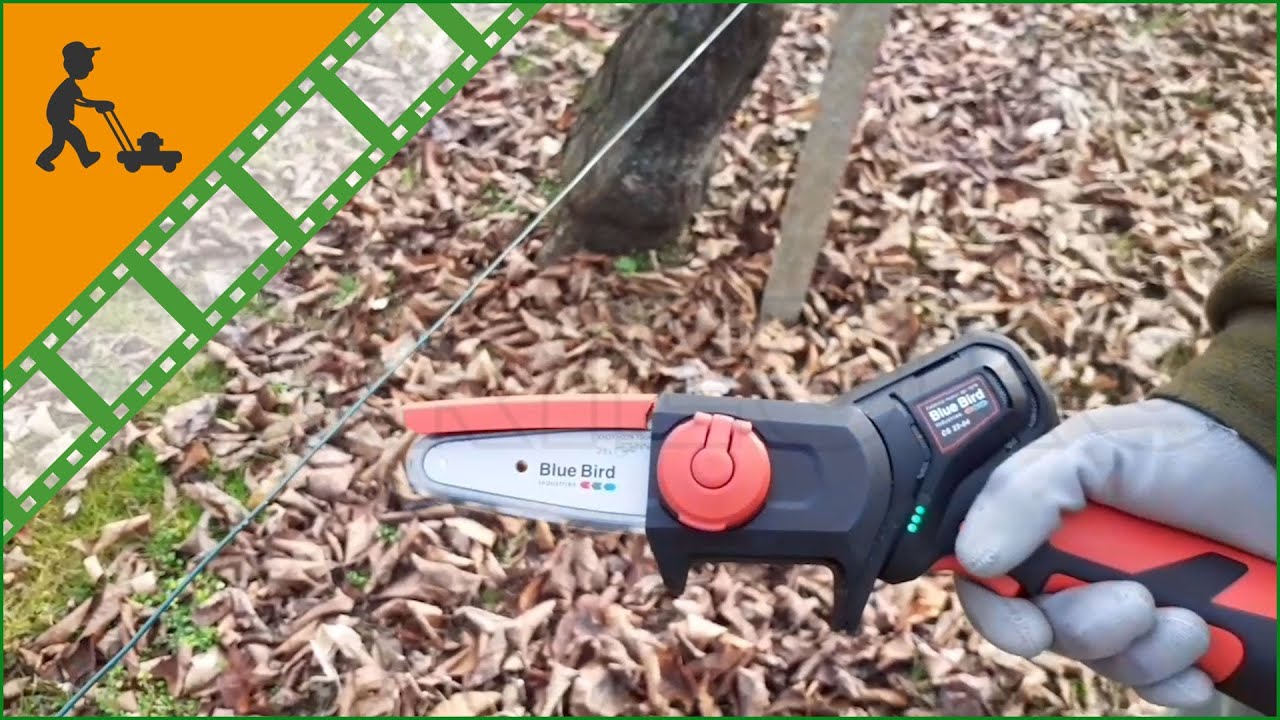 Potatore manuale elettrico a batteria Blue Bird CS 22-04 - 2 Batterie da 12.6V 2.5Ah
