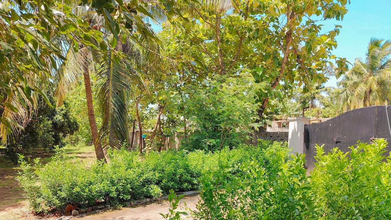 No : 140  Excellent ambience Farmland(2 acre) for sale In ECR Palar River Check Dam | 9626716274