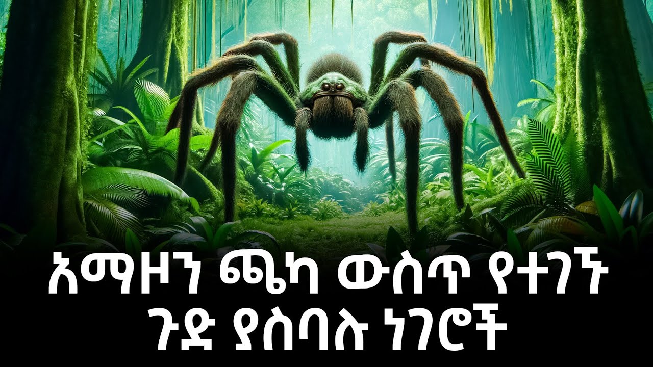 አማዞን ጫካ ውስጥ የተገኙ ጉድ ያስባሉ ነገሮች Amazon Forest