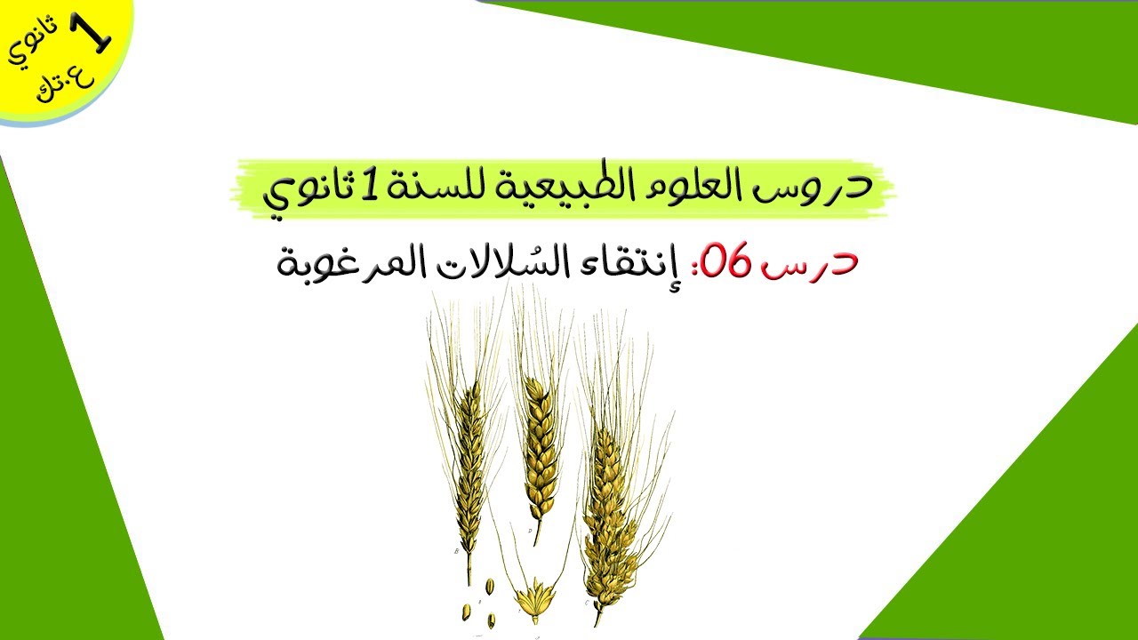 درس 06: إنتقاء السُلالات المرغوبة | أولى ثانوي علوم و تكنولوجيا