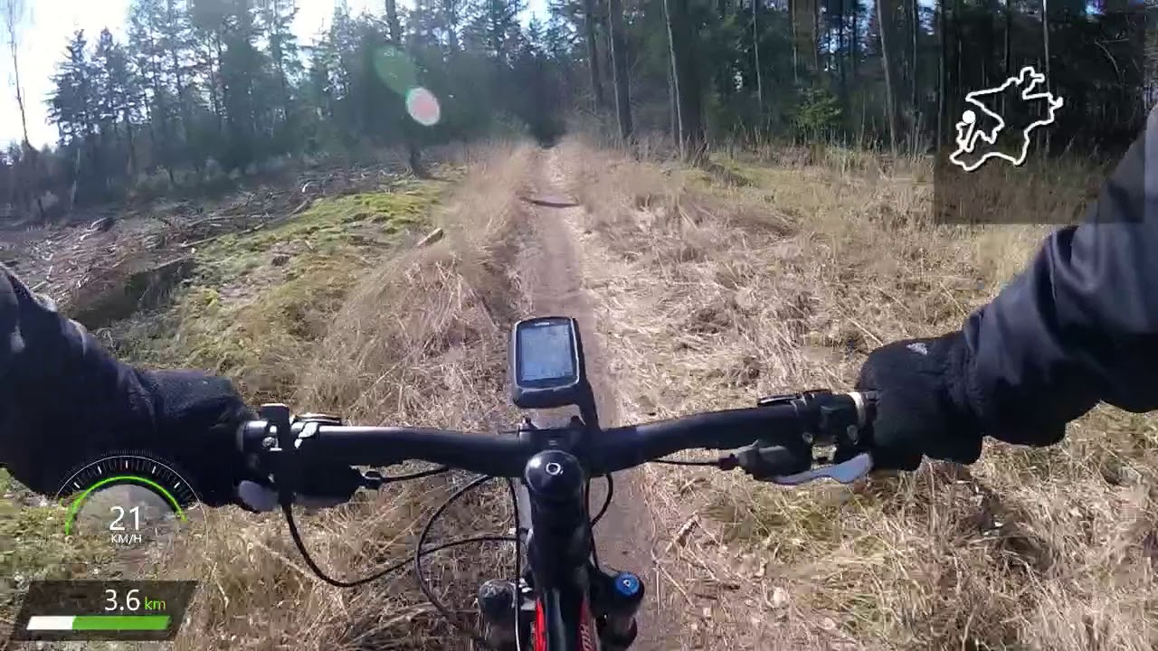 MTB track in Dennendijkse Bossen - full ride