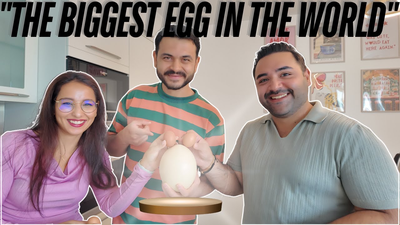 Special Guest Mansur Jan | Real Estate Agent | مهمان خاص منصور جان / مشاور املاک