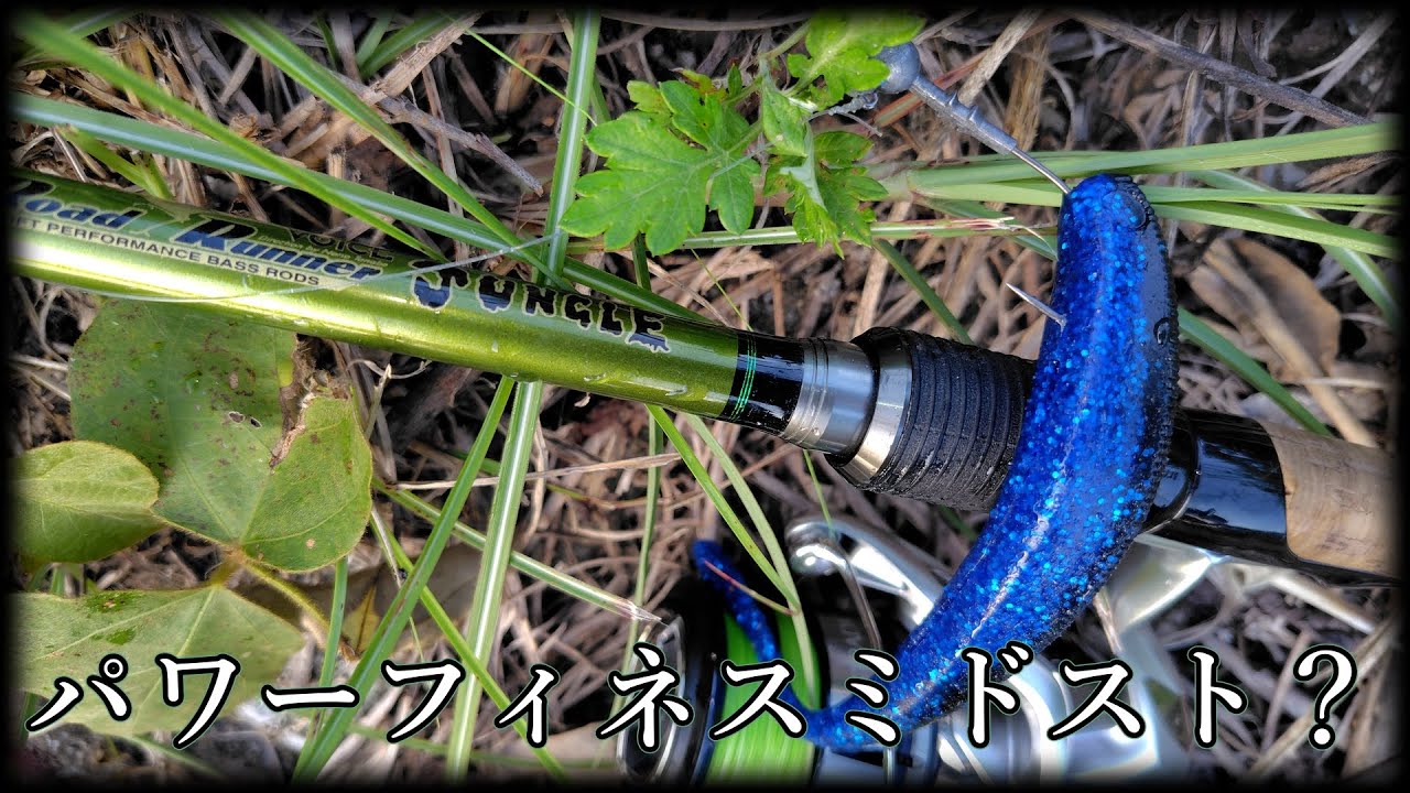 【ジャングルスピンヘビー】長くて硬いスピニングが欲しい【ミドスト】