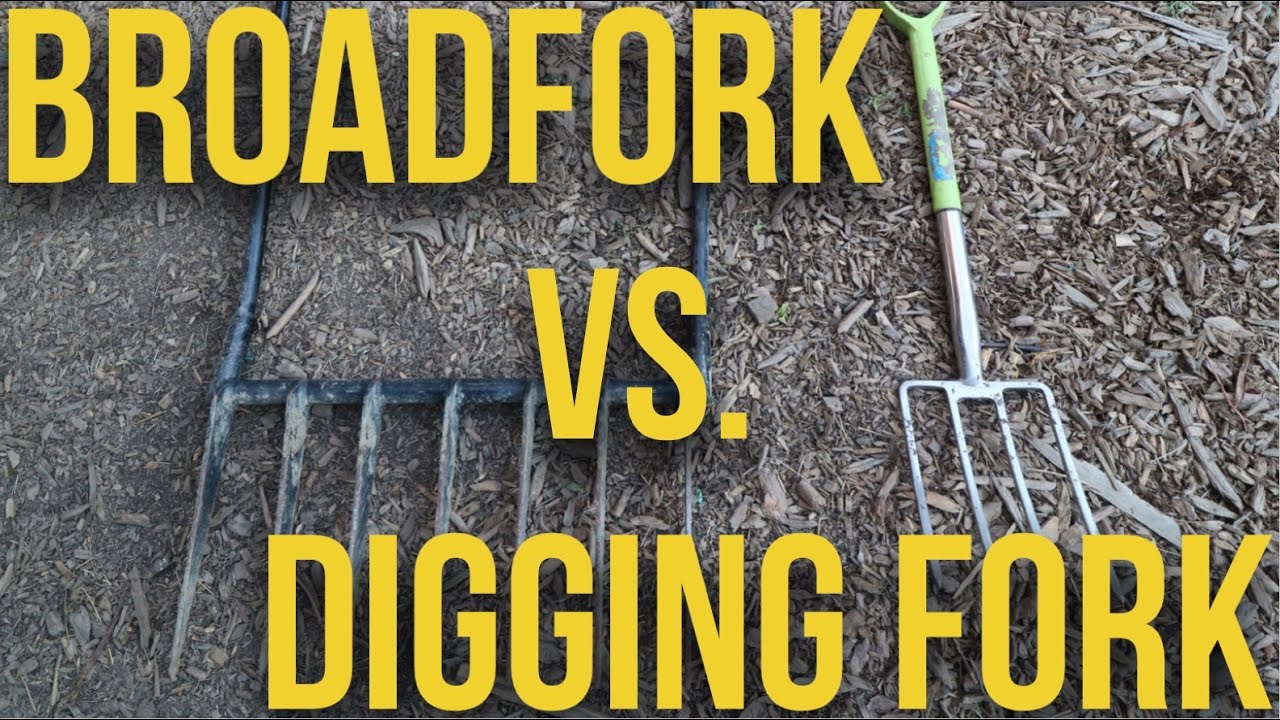 Battle of the Forks: Broadfork vs Digging Fork