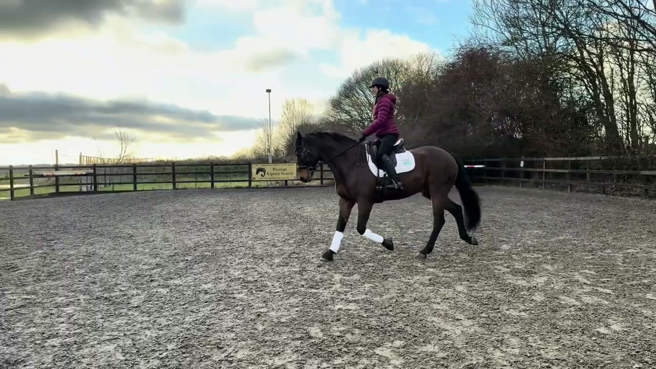 🎤 Elvis Presley 🎤  Flatwork Video
