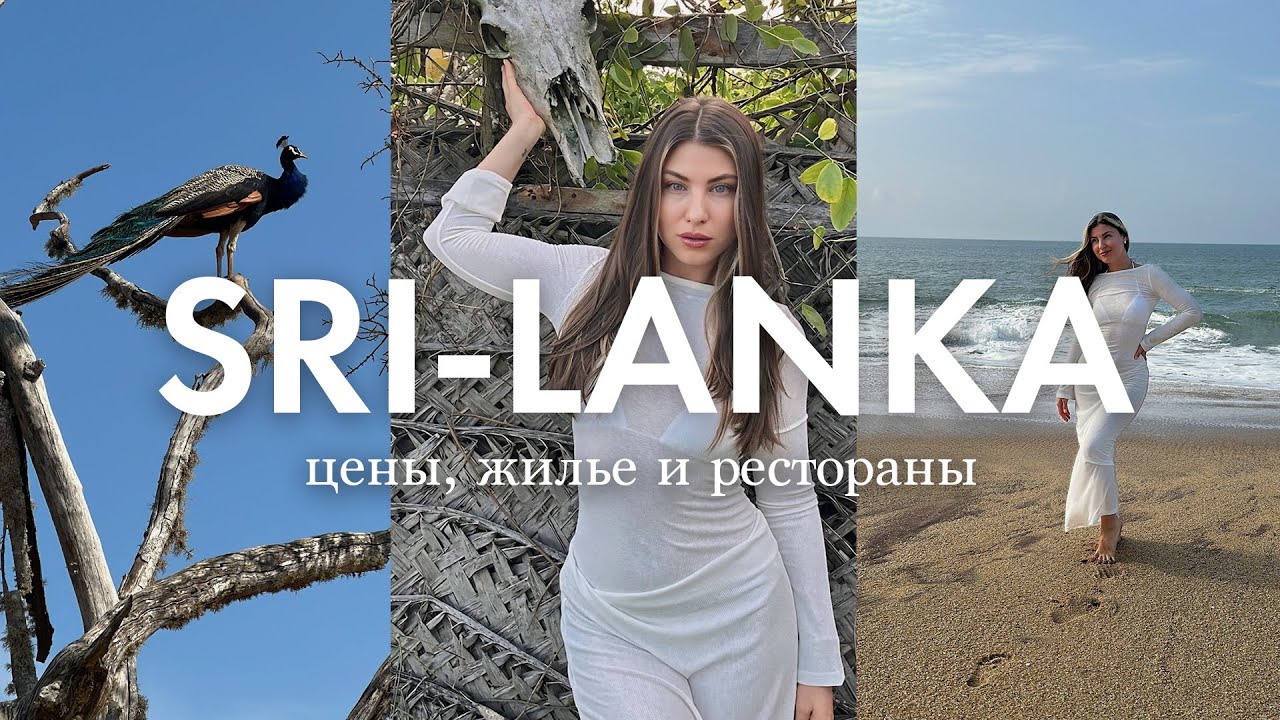 Шри-Ланка: ХАМБАНТОТА, сафари и Элла &mdash; все о ценах, покупки и советы туристам!