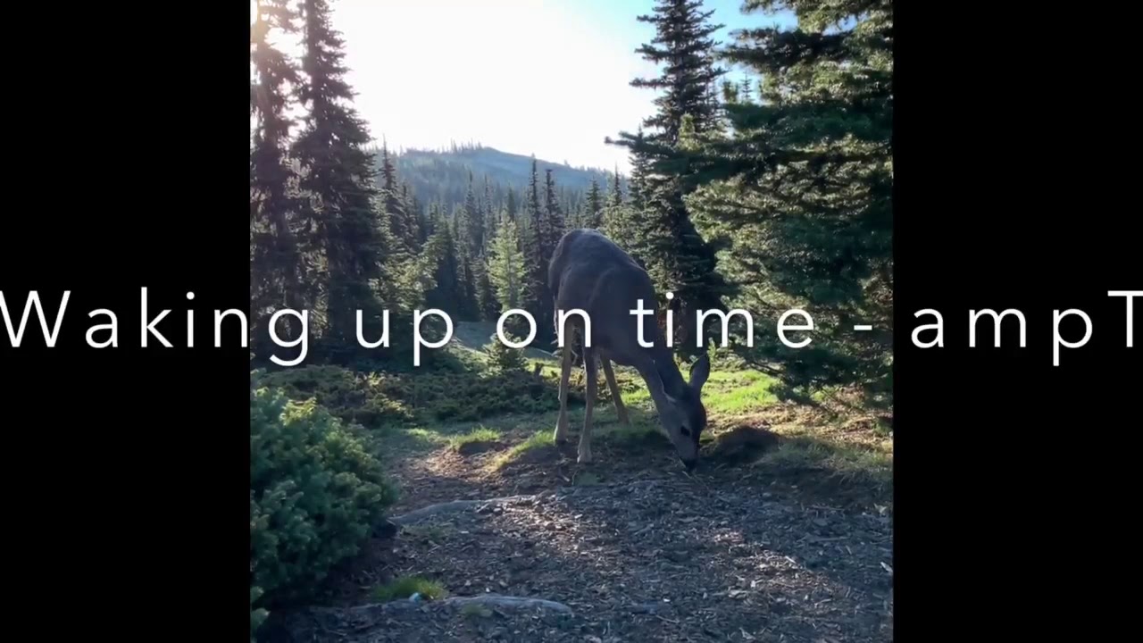 Waking up on time- AmpT