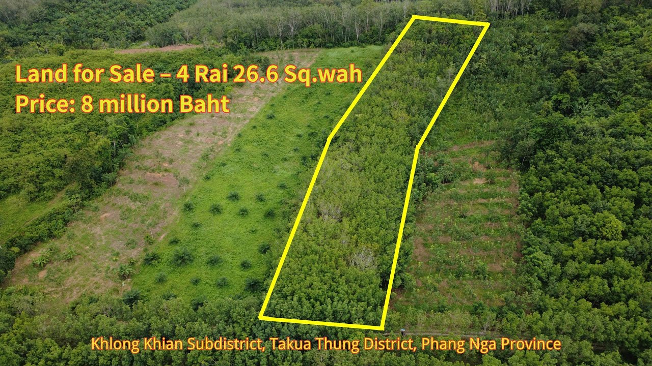 🌿 4 Rai Land for Sale in Phang Nga &ndash; Surrounded by Nature, Only 8 Million Baht!