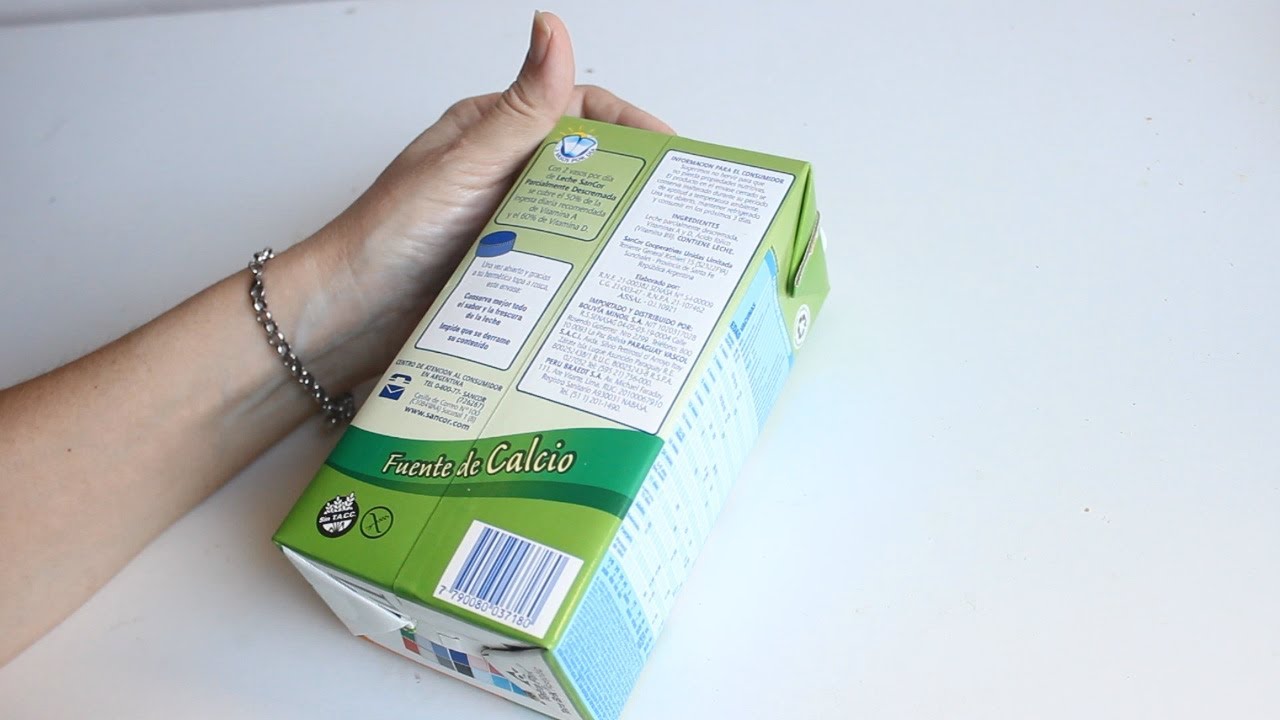 Recycled Milk Carton 🌼 Inspiring way to Recycle Milk Carton - DIY ♻