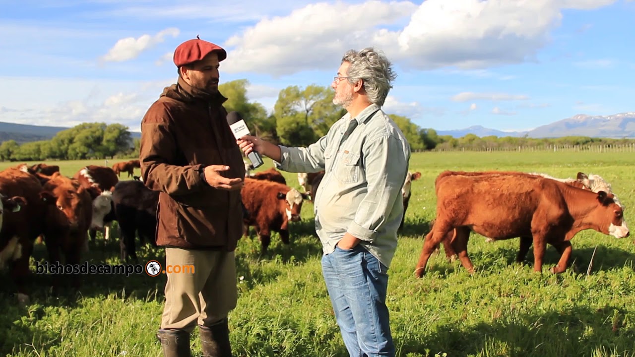 Rolando 'Rolo' Solis - Productor de ganadero en Trevelin, Chubut