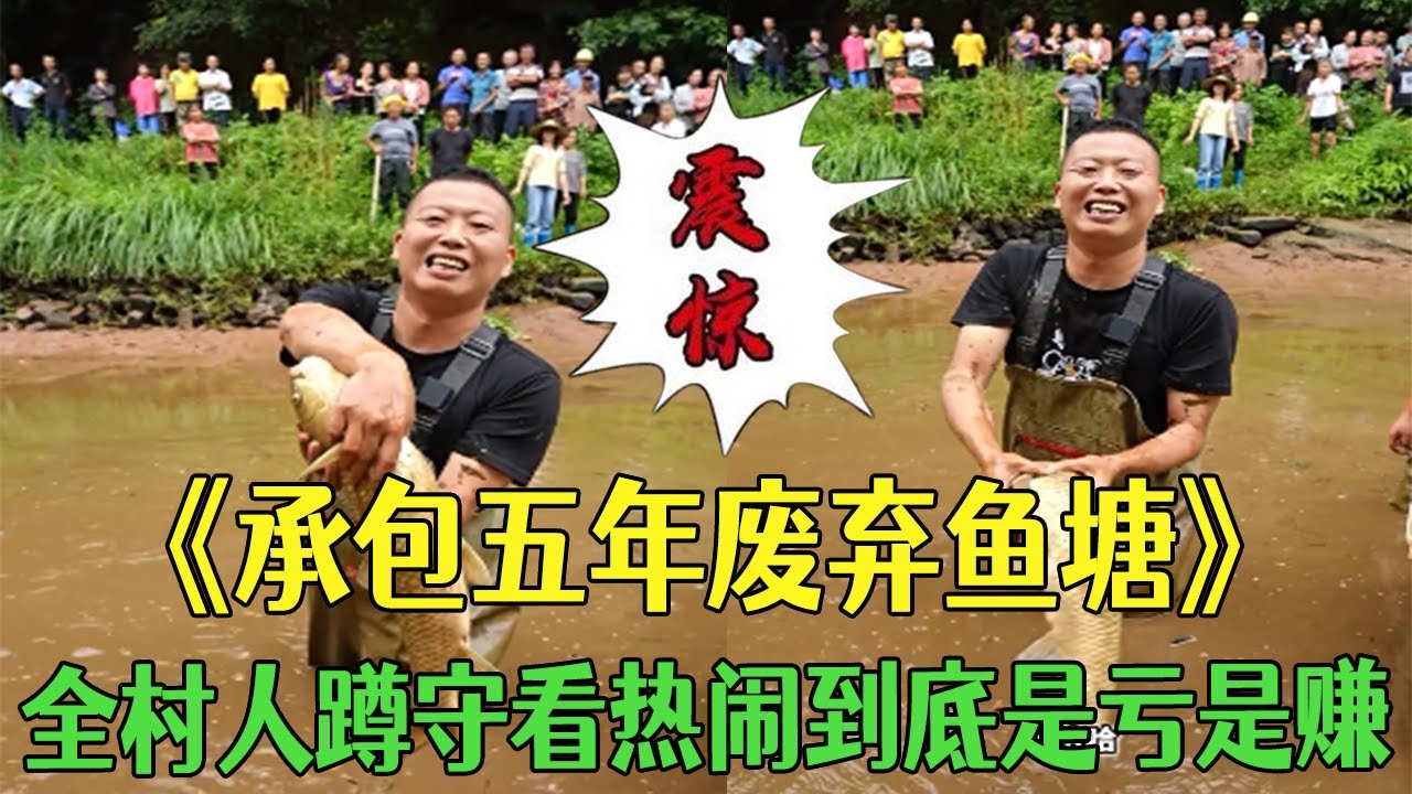 承包五年廢棄魚塘，全村人蹲守看熱鬧到底是虧是賺？#小飛哥 #三農 #新農人計劃2026 #戶外 #鄉村守護人 #包塘