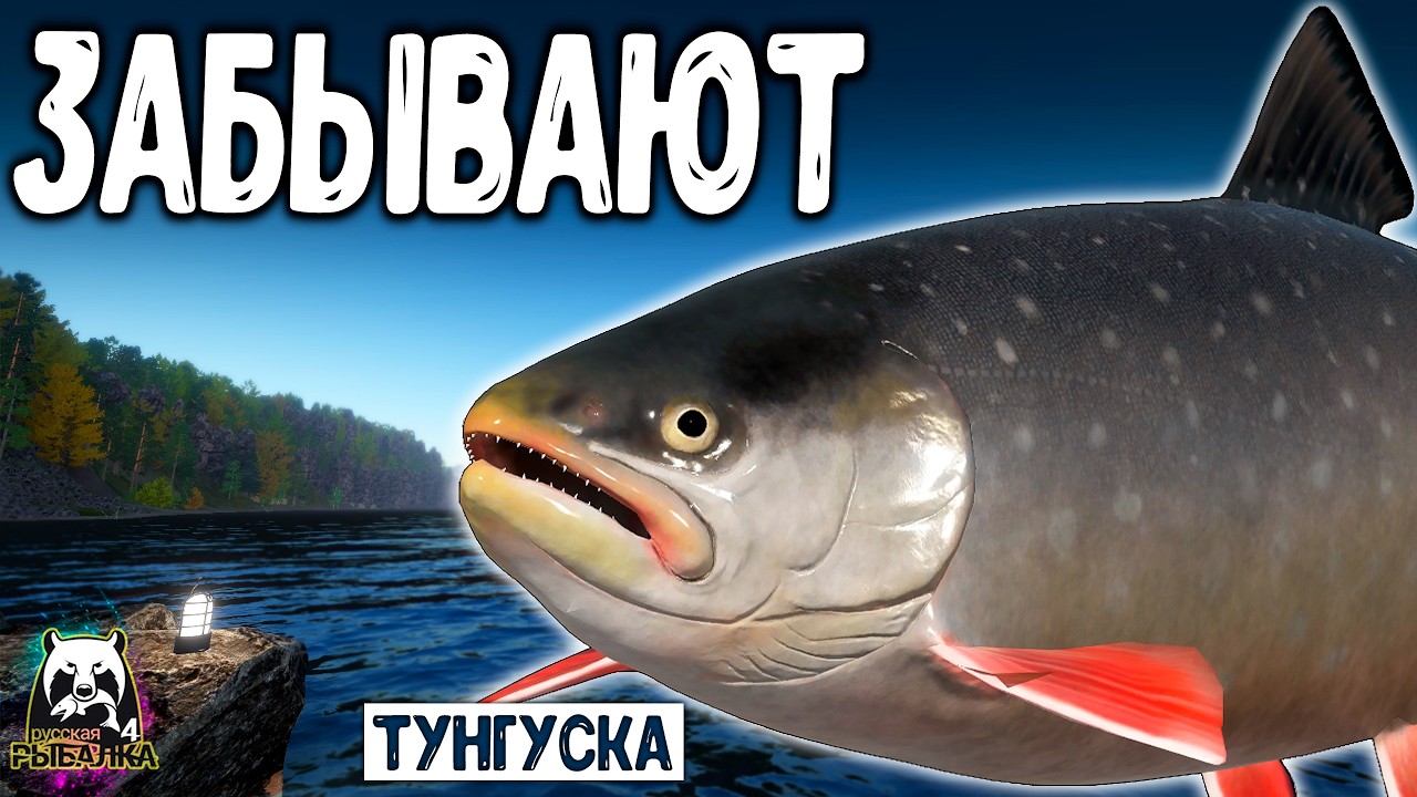 Rf4 многие просто забывают об этом а тут вот что #рр4