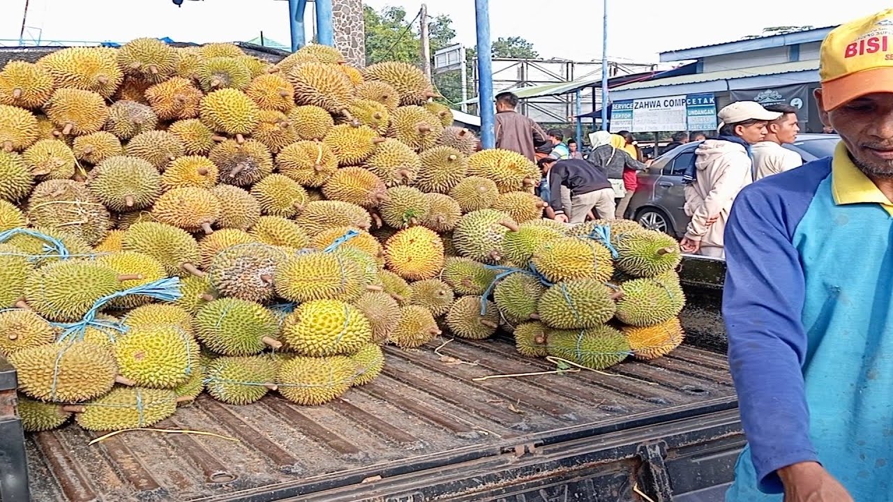 Pasar Pasrepan, Tengkulak Trawas kulakan Borong Duren Se Pick Up. Pasuruan.