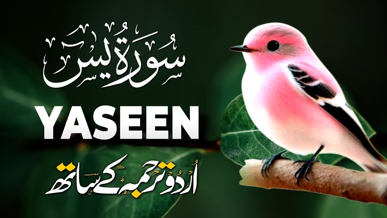 Surah Yaseen with Urdu Translation | Heart Touching Recitation by Qari Mansoor Ghaznavi | Ep005