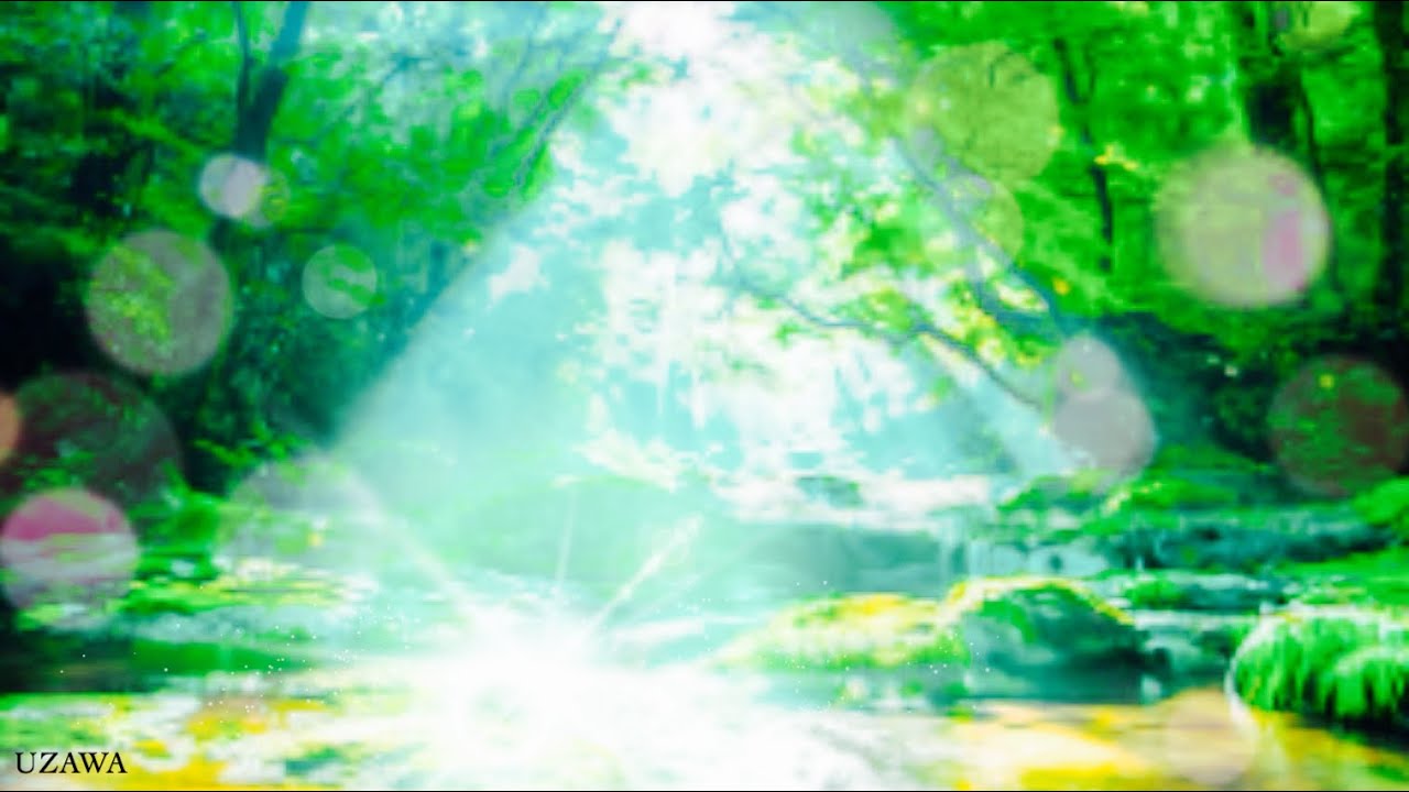 Healing Music: Peaceful Guitar Music | Forest & Sunny Relaxing Morning,  Soothing Music, Spa Music