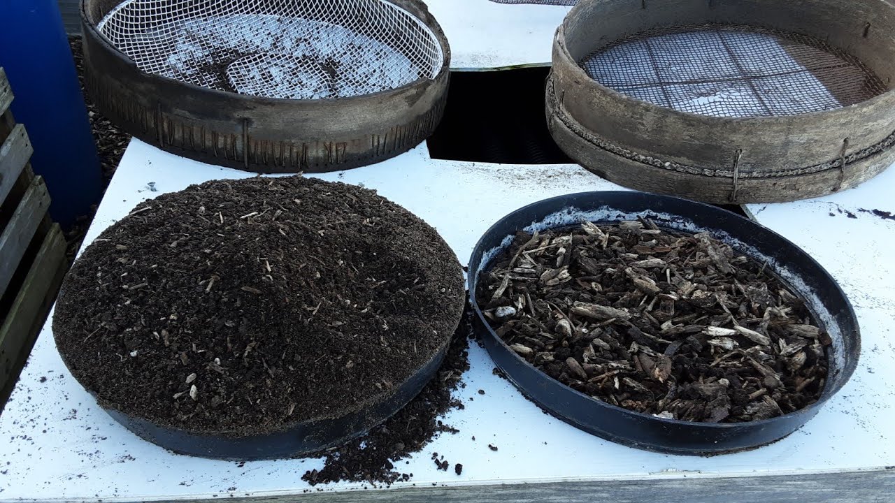 Allotment Gardening On A Budget Hacks For An Abundance With A Collaboration With Thompson & Morgan