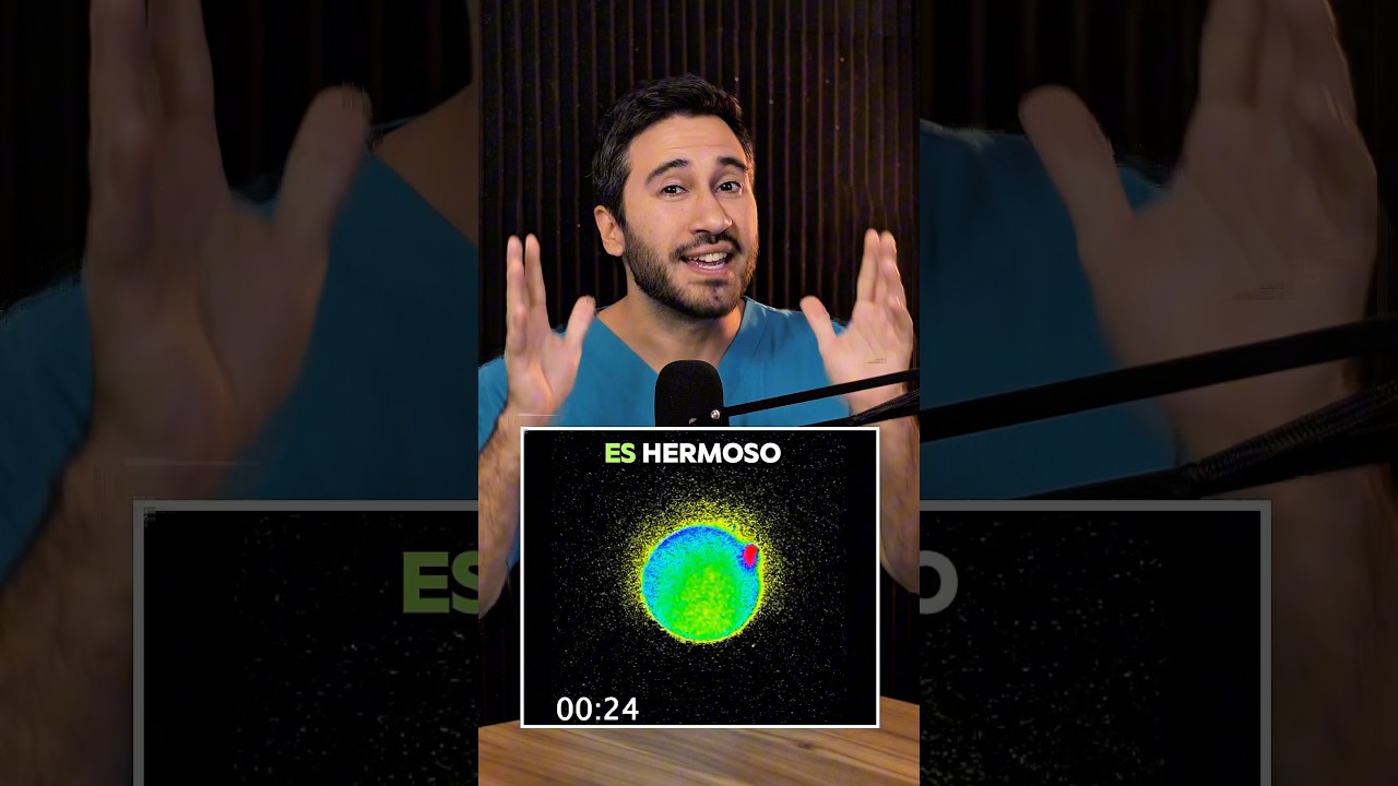 La fecundaci&oacute;n genera luz literalmente | Doctor Negrete