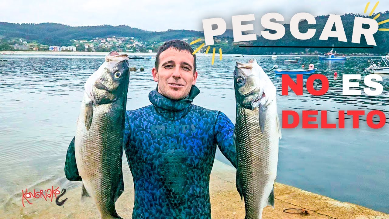 PESCAR NO ES UN DELITO⛔Pesca Submarina en Galicia: LUBINAS & Sargos🔴 [Firma la Petición] - Aquí link