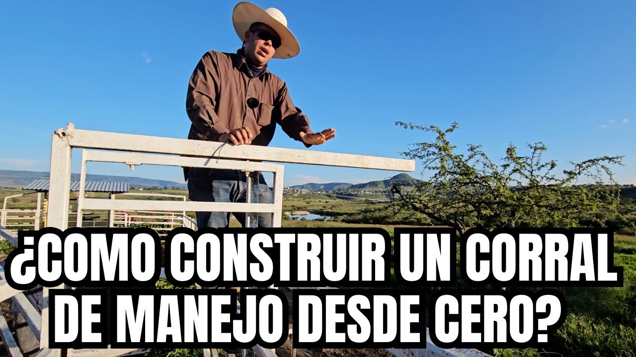 &iquest;C&oacute;mo CONSTRUIR un CORRAL de MANEJO desde CERO? | FUNCIONAL y GARANTIZADO | RancheandoAndo