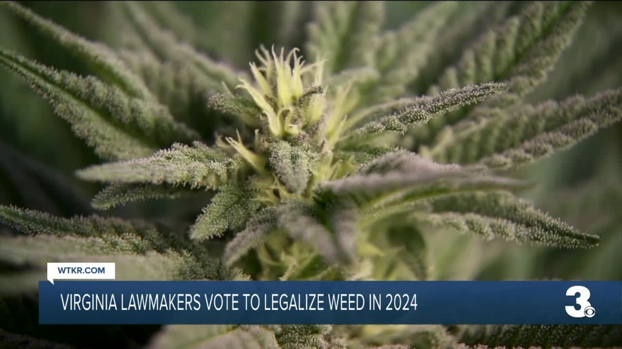 Virginia lawmakers vote to legalize marijuana in 2024