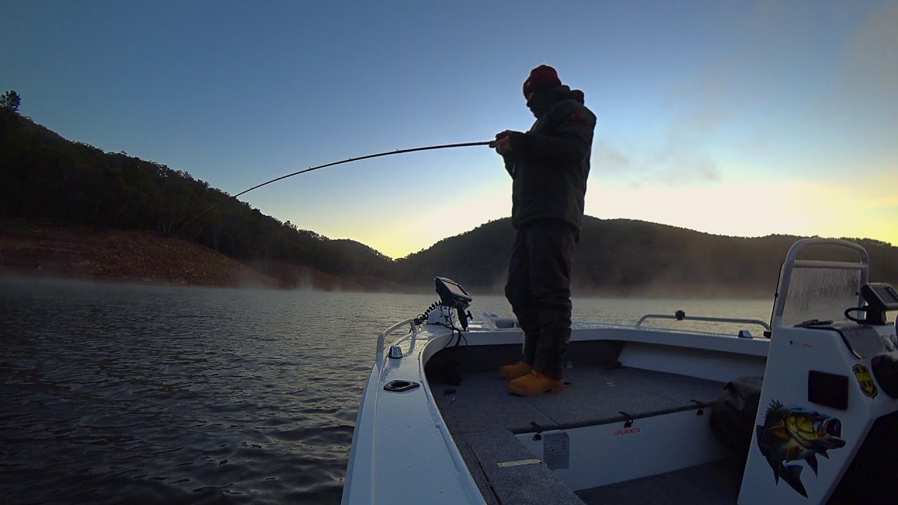 100cm murray cod on the cast