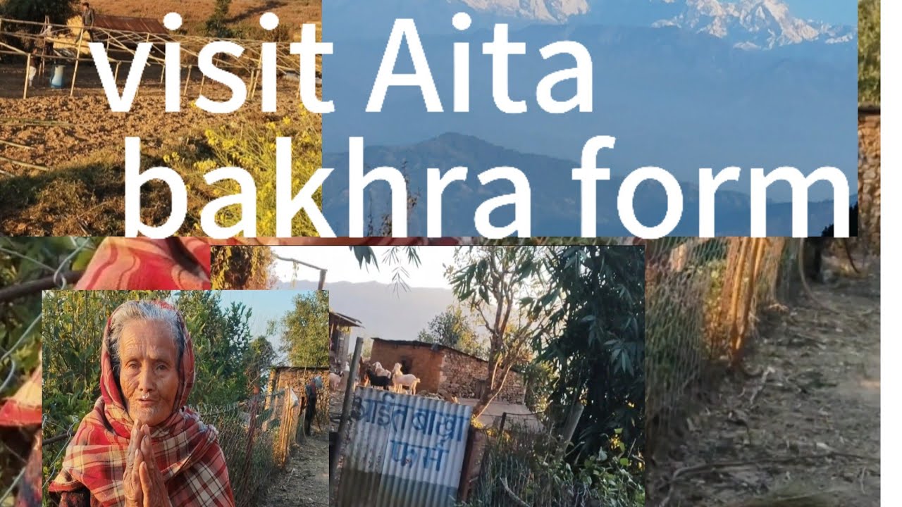Bakhra form lokal kukhura Ani bhui Muni pani tangi Ra organic dedo pakaudai