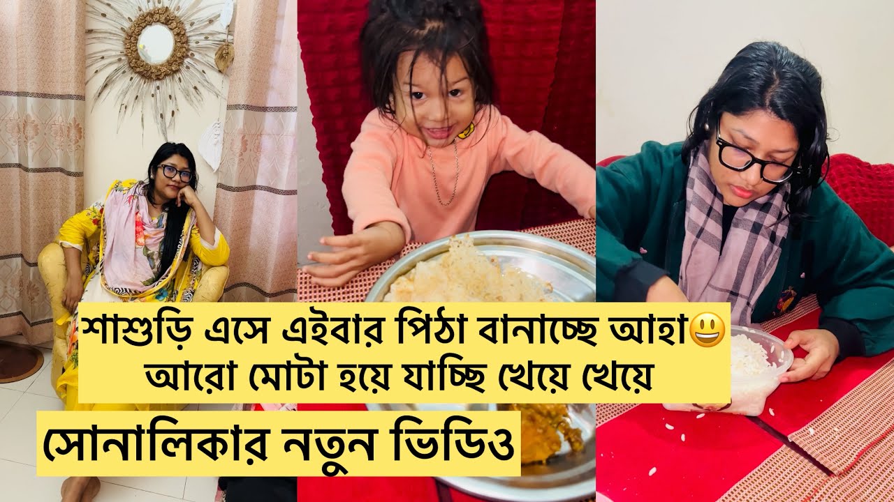 শাশুড়ি এসে পিঠা খাইয়ে মোটা বানালো😭/সোনালিকার নতুন ভিডিও