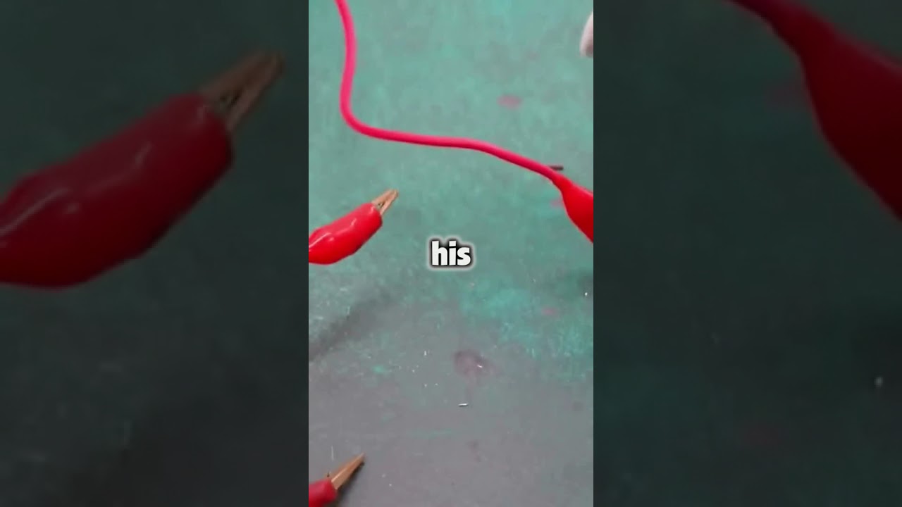 AT DINNER, MY PARENTS SNEERED, HOW DOES IT FEEL BEING THE MOST USELESS ONE HERE EVERYONE L #reddit