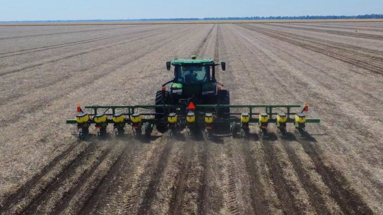 Sowing Sorghum with John Deere MaxEmerge XP Planter & John Deere 7R Tractor